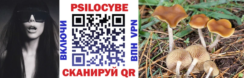 Псилоцибиновые грибы Psilocybine cubensis  Купить  Калачинск 